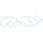 Load image into Gallery viewer, Flipped on Feathers
